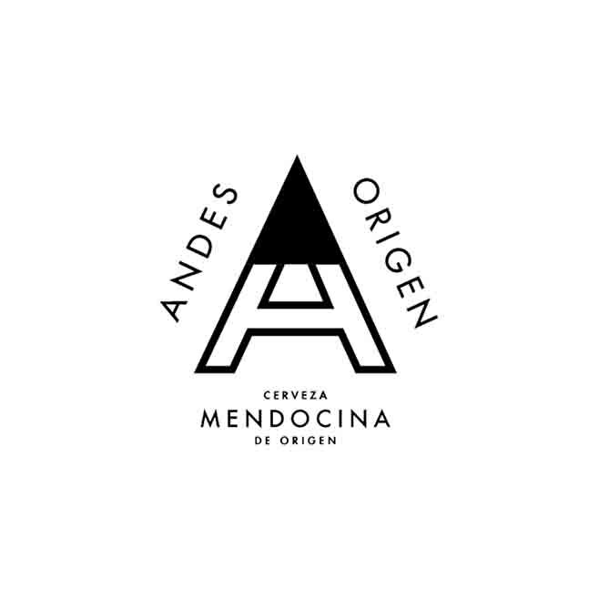 Logo andes